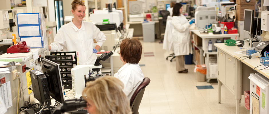Employees in a lab working and collaborating.